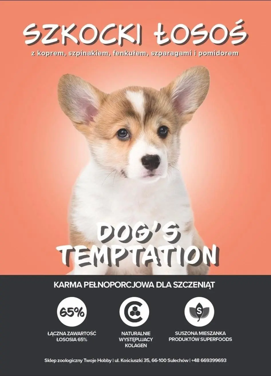 Etykieta karmy Dog's Temptation — Szkocki łosoś z koprem, szpinakiem, fenkułem, szparagami i pomidorem, dla szczeniąt